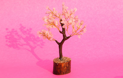 Rose Quartz Crystal Tree | Enhances Love, Harmony & Emotional Healing