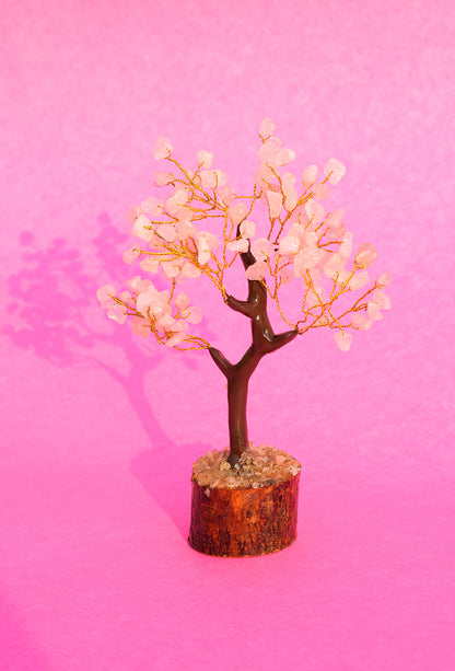 Rose Quartz Crystal Tree | Enhances Love, Harmony & Emotional Healing